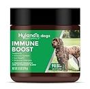 Hyland's Naturals - Immune Boost for Dogs, 90 Soft Chews, Supports Immune System, Gut Health & Seasonal Allergies, with Probiotics & Antioxidants, Cheese Flavor