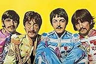 The Beatles SGT Peppers Lonely Hearts Club Music Poster 36x24 inch