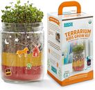 Organic Kids Terrarium Grow Kit - Easy-To-Use DIY Set for All Ages Small