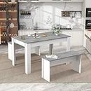 BTM Dining Table with 2 benches Dining Table Set for Kitchen, Dining Room, Small Space Artificial Marble (Grey and White)