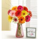 1-800-Flowers Flower Delivery Happy Gerbera Daisies 12-24 Stems, 12 Stems W/ Pink Vase & Sign | Same Day Delivery Available