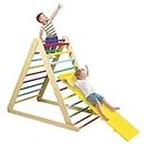 Maxmass 2 in 1 Kids Climbing Ladder, Wooden Children Climber with Removable Ramp, Indoor Folding Toddler Gym Activity Center for Climbing, Sliding (Colorful)