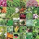 UGAOO Indian Vegetable Seeds Bank For Home Garden 35 Varieties - 1675 Seeds