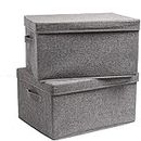 SKYFUN (LABEL) Rectangular Foldable Large Linen Laundry, Clothes, Books, Toys Storage Living Hamper Box with Lid and Handle, Large, Pack of 2-Grey, Large