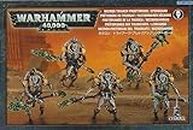 Warhammer 40k: Necrons - Lychguard / Triarch Praetorians