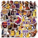 10 Random Lebron James Stickers Lakers Cavaliers Heat NBA Basketball LA Decals