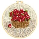 Punch Needle Embroidery Starter Kits for Beginner Hooking Kit with Instructions and Landscape Pattern (Strawberry)