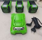 3 Greenworks Batterie G40B2 (système de charge rapide Li-Ion 40V 2Ah + station 