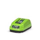 Greenworks 40V Lithium-ion Battery Charger (2931802)