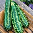 Haloppe 100Pcs Zucchini Plants Seeds for Home Garden Planting, Zucchini Seeds Mini Squash Long Green Seeds for Garden Zucchini Seeds