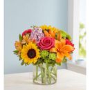 1-800-Flowers Flower Delivery Floral Embrace Medium | Same Day Delivery Available | Happiness Delivered To Their Door