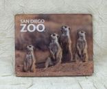 San Diego Zoo Meerkats Acrylic Souvenir 3D Magnet California