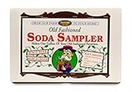 Make Your Own Old-Fashioned Soda Sampler Kit | Create One Gallon of Your Old-Fashioned Favorites | Root Beer and Birch Beer Flavors | Do-It-Yourself Science Experiment Kit