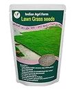 Iagrifarm Lawn Grass Seed - 500 gram/Bermuda Grass Seed/Ever Green Grass Seed for Lawn, Sport Ground and Gardening