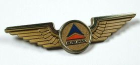 Delta Airlines Junior Kids plastic wings badge Childrens pilot - USA