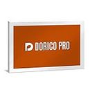 Steinberg Dorico Pro 5 Notation and Composition Software, Boxed