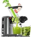 SiFENE Compact Cold Press Juicer, Single-Serve Slow Juicer for Small Families, Easy to Clean, Anti-Clog, Quiet Motor, Safe for Kids, BPA Free, Design for Minimalist Kitchens (Gray)