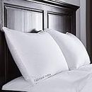 Fabroyal India Plain Soft Cozy Fluffy Sleeping Microfibre Bed Pillow for Bed & Living Room (16 in x 24 in, White) - Pack of 2