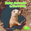 Baby Animals and Their Homes Ser.: Baby Animals in Burrows by Martha E. H. Rusta