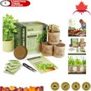 Easy Indoor Herb Garden Starter Kit - Complete Cooking Gifts for Plant Lovers