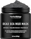 New York Biology Dead Sea Mud Mask for Face and Body - All Natural - Spa Quality Pore Reducer for Acne, Blackheads and Oily Skin - Tightens Skin for A Healthier Complexion - 8.8 oz