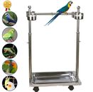 Parrot Perch Stand Stainless Steel W/4 Feeding Cups and Drop Tray For Large Bird