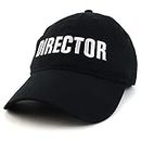 Trendy Apparel Shop Director Embroidered Soft Cotton Low Profile Dad Hat Baseball Cap - Black