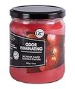 Mcintosh Apple Odor Eliminating Highly Fragranced Candle - Eliminates 95% of Pet, Smoke, Food, and Other Smells Quickly - Up to 80 Hour Burn time - 12 Ounce Premium Soy Blend