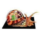 4D Snail Intelligence Assembling Toy Animal Organ Anatomy Model Medical Teaching DIY Popular Science Appliances