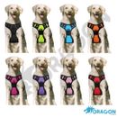 Premium Dog Harness No Pull With Sturdy Handle 2 Lead Attachments by Dragon Pets