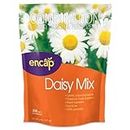 ENCAP 10808-6 200 sq. ft. Daisy Flower Mix