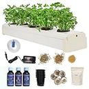 City Greens Hydroponic Kit for Home Garden - Beginners 5 Planter Deep Water Culture (DWC) System - Grow Any Indian Or Exotic Leafy's, Perfect at Home Kit for Hydroponic Gardening.
