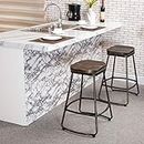 Awonde 24" Swivel Bar Stools Set of 2 Industrial Metal Counter Height Barstools with Wood Top