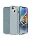 RAEGR iPhone 14 / iPhone 13 Case | Magnetic Case | Supports Mag-Safe Wireless Charging | Premium Soft Silicone MagFix Case/Cover Designed for iPhone 14 / iPhone 13 (6.1-Inch) 2022 - Green RG10398