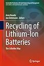 Recycling of Lithium-Ion Batteries: The LithoRec Way (Sustainable Production, Life Cycle Engineering and Management)