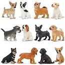 TOYMANY 12PCS Mini Dog Figurines Toy Set, Realistic Detailed Plastic Puppy Figures Playset, Hand Painted Dogs Animals Toy, Cake Toppers Easter Eggs Christmas Birthday Gift for Kids Toddlers