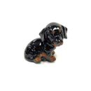 Charlton Home® Mulgrave Doberman Puppy Resin in Black | 3.5 H x 3 W x 2 D in | Wayfair 59A5FC8D998140EA8A194E1E70F2FD3F
