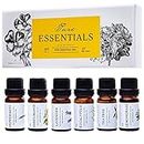 Essential Oils by Pure Essentials 100% Pure Therapeutic Grade Oils kit- Top 6 Aromatherapy Oils Gift Set-6 Pack, 10ML(Eucalyptus, Lavender, Lemon Grass, Orange, Peppermint, Tea Tree)