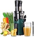Electric Juicer Fruits Cold Press Squeezer Vegetable Processor Slow Masticating Juicer Machines 200W for Vegetables Celery Wheatgrass Watermelon Leafy Greens Carrot, Slow Juicer Machine with Big Wide Chute and 800ml Juice Cup, BPA-Free, Easy to Clean