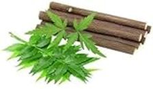 Sri Sadarang Herbal Neem Ki Datun - 20 Sticks