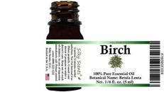 Birch Essential Oil (Betula Lenta) 100% Pure and Natural