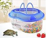 AQUAPETZWORLD Turtle House Cylinder With Bask Platform Raising Brazilian Tortoise Tank Water Turtle Breeding Box With Cover With 500g Mixed Color Pebbles for Small Baby Turtles ( 32 x 23 x 13.5 cm)