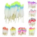 12 Piece Dyed Natural Feather for Heimwerken Party