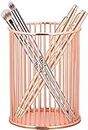 CentraLit Pen Stand Pencil Holder Decorative Metal Wire Pen Stand Organizer for Office Desk, Kids Study Table - Makeup Brush Holder Accessory, Toothbrush Holder (Rose Gold)