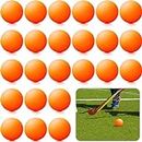 Poen 24 Pcs Street Hockey Balls, Outdoor Field Hockey Balls, Minimal Bounce Roller Hockey Balls for Kids Boys Youth Adult Street Hockey Sports Game Competition
