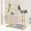 VolksRose Parrot Playground Bird Play Stand, Bird Activity Stand Wood Perch Gym with Ladder Tray and Feeder Cups, Parakeet Cockatiel Birdcage Cage Nest Accessories Exercise Platform Toy