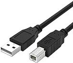 LIONX USB Cable Cord for FOCUSRITE Scarlett Solo 18i8 2i4 2i2 6i6 MK2 Audio Interface Scarlett Solo (2nd Gen),2i2 USB Audio Interface Numark PT01 6FT
