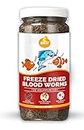 BOLTZ All Life Stages Freeze Dried Blood Worms Fish Food 50 Grams For Bettas, Tetras, Arowana, Flowerhorn, Oscar Fish (50 Gm)