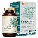 Nature Basics® Sango Coral en tarro | 180 cápsulas veganas - suministro para 2 meses | 3.300mg de polvo de Sango Coral, incluyendo 660mg de calcio y 330mg de magnesio por dosis diaria