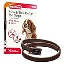 Beaphar - Flea & Tick Collar for Dogs - Long-Lasting - Kills Fleas & Tick for up to 4 Months - Veterinary Medicine - For Dogs over 3 Months - 1 x 65 cm Brown Collar